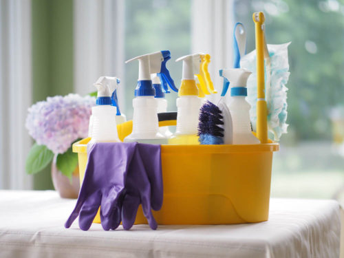 House Cleaning Service Professionals